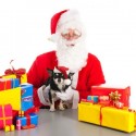 Read Holiday Gifts for Your Faithful Friends