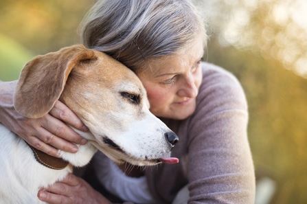 Read Dogs Can Always Go Home Again