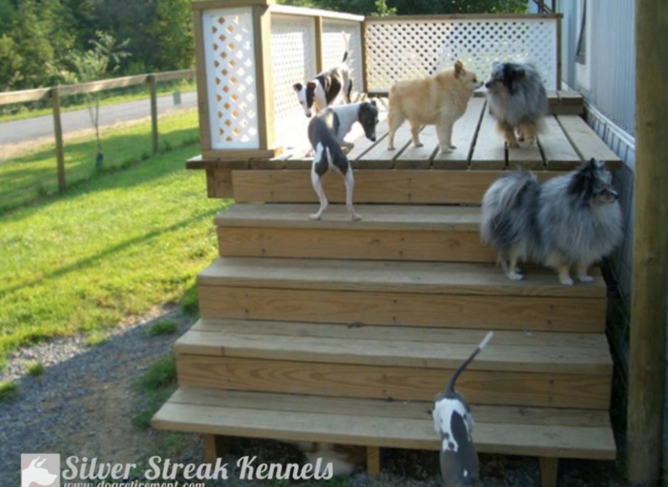 puppy kennels near me