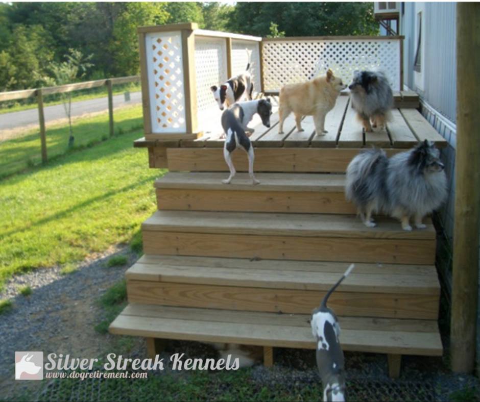 Dog Retirement Home & Long Term Pet Boarding Silver Streak Kennels