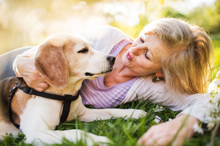 Read How Your Dog’s Needs Change as They Age