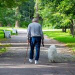 An older man walks a white, fluffy dog