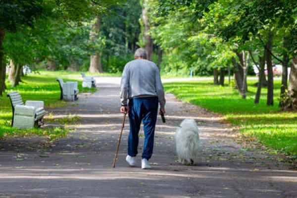 Read Why Dogs Go to Retirement Homes